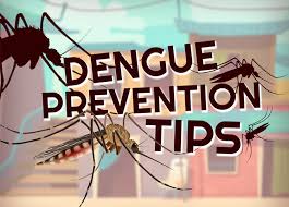 "Dengue Protection: Citronella Oil's Simple Solution"