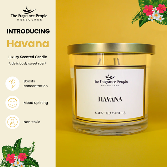 Havana 3-Wick Scented Candle